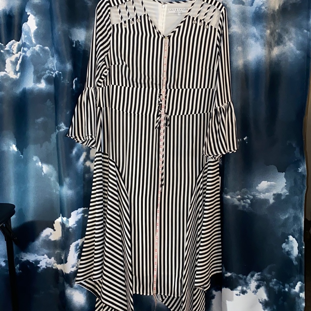 New: Lily &Taylor Black/ White Strips Dress